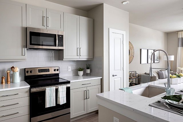 Katy Luxury Apartment | Private Detached Garages | Some Bad Credit Okay